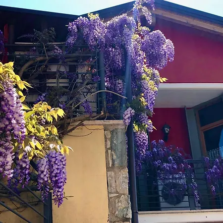 La Casa Del Glicine Tarzo