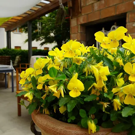 La Casa Del Glicine Tarzo Homestay